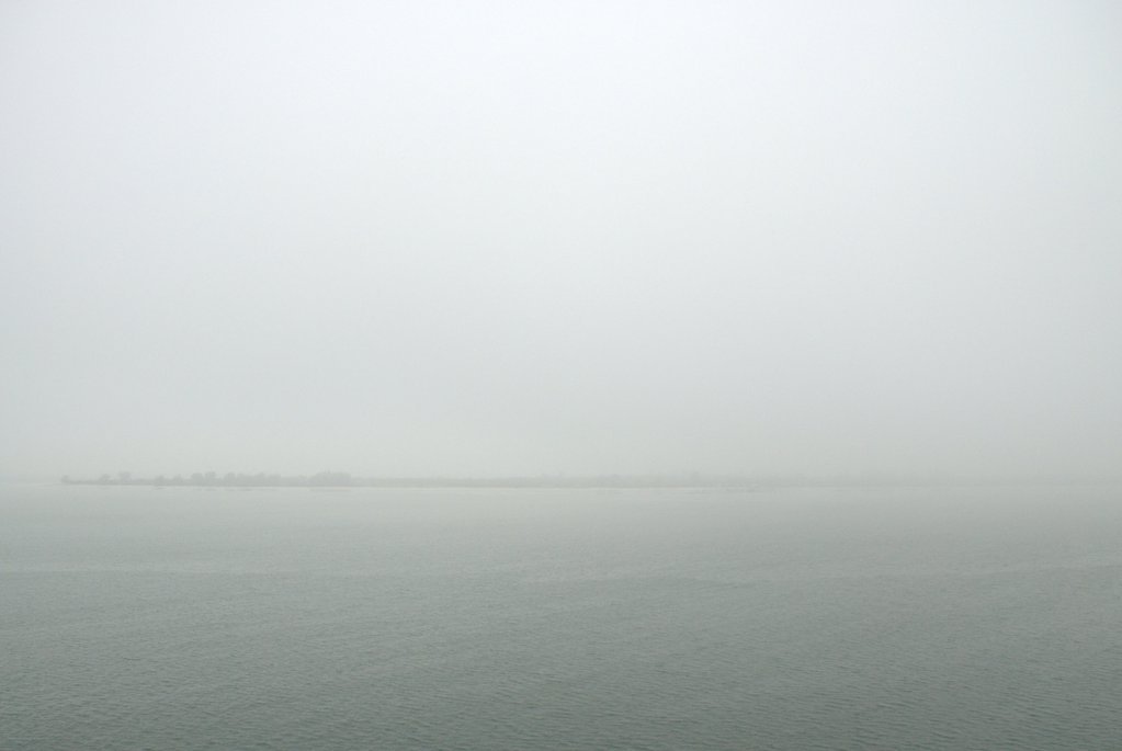 Foggy Tampa