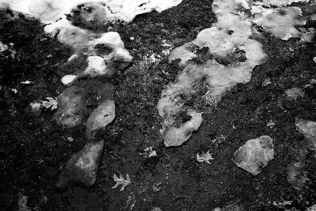 Snow receding Snow receding
