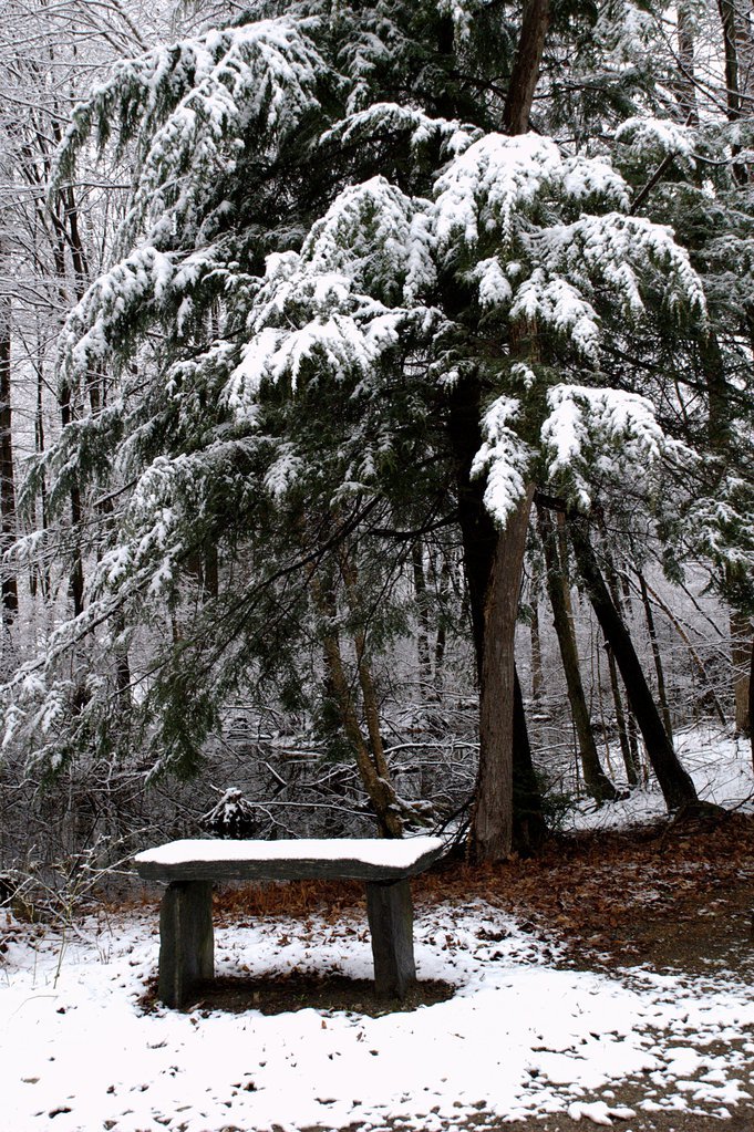 Snowy bench Snowy bench
