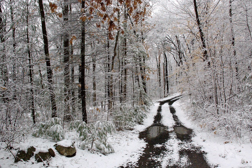Snowy road Snowy road