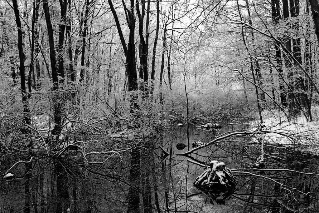 Snowy pond Snowy pond