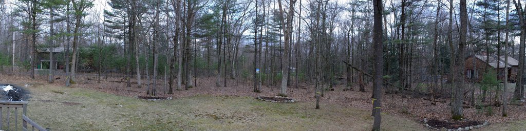 Backyard before