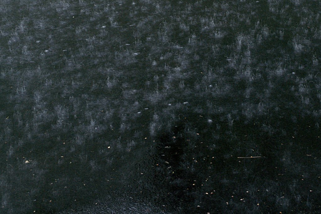 Rainy