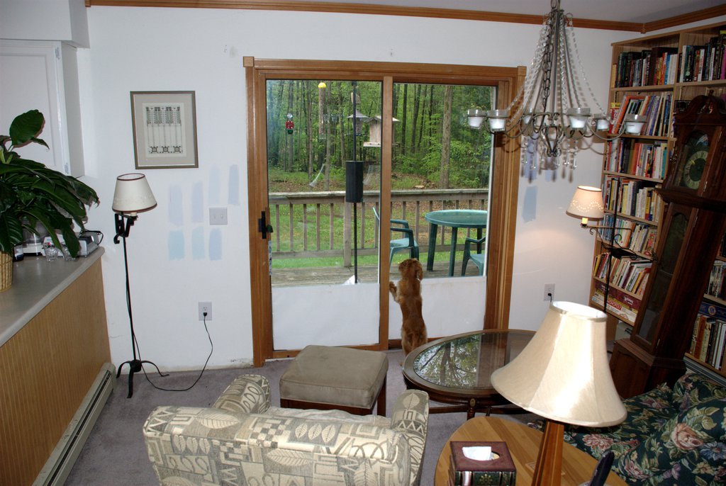 Patio doors: before (inside)