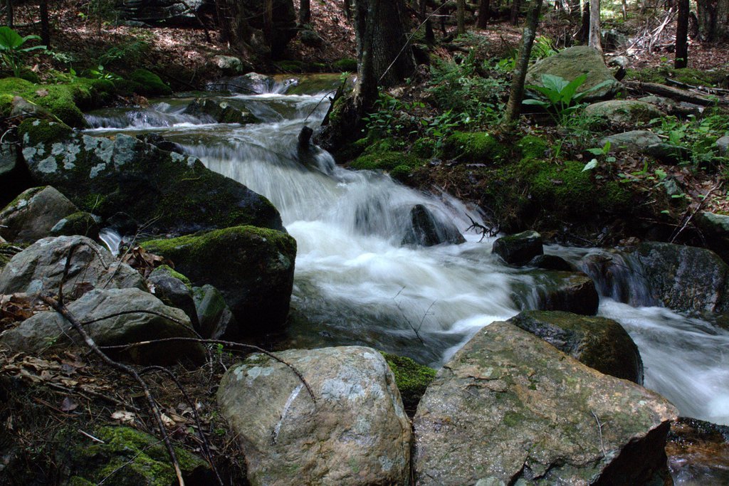 Babbling brook