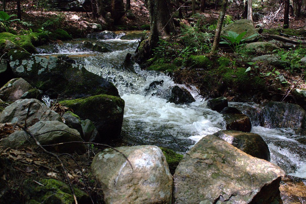 Stop-action brook