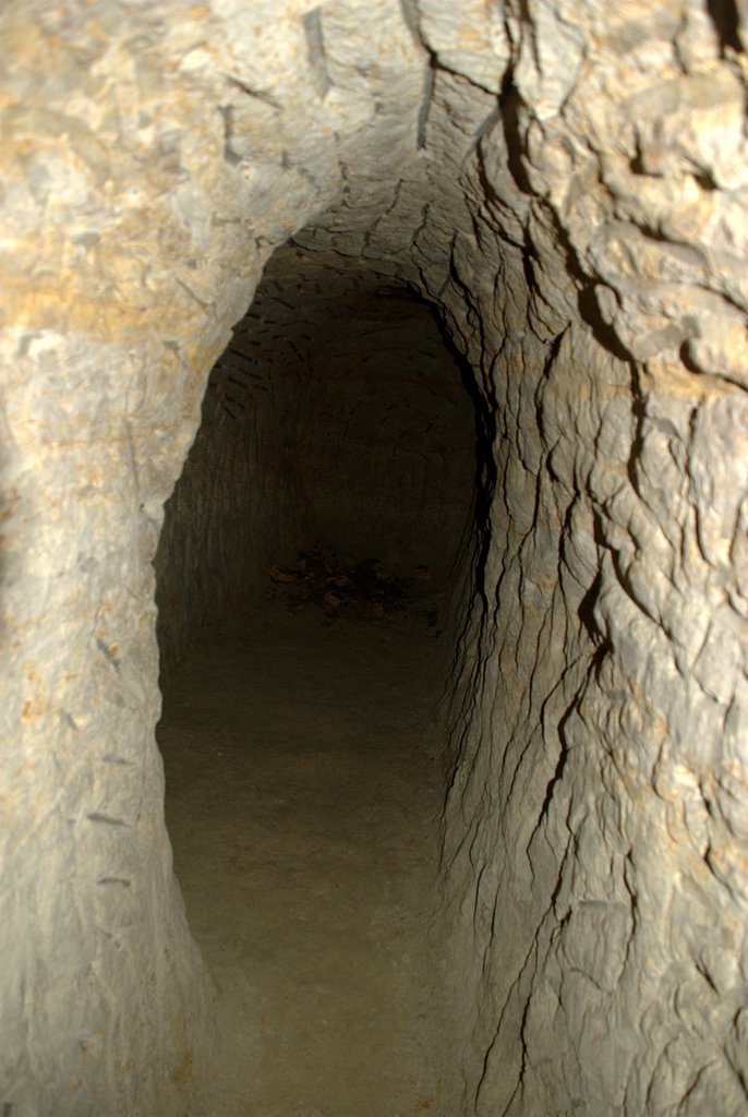 Cellar extension