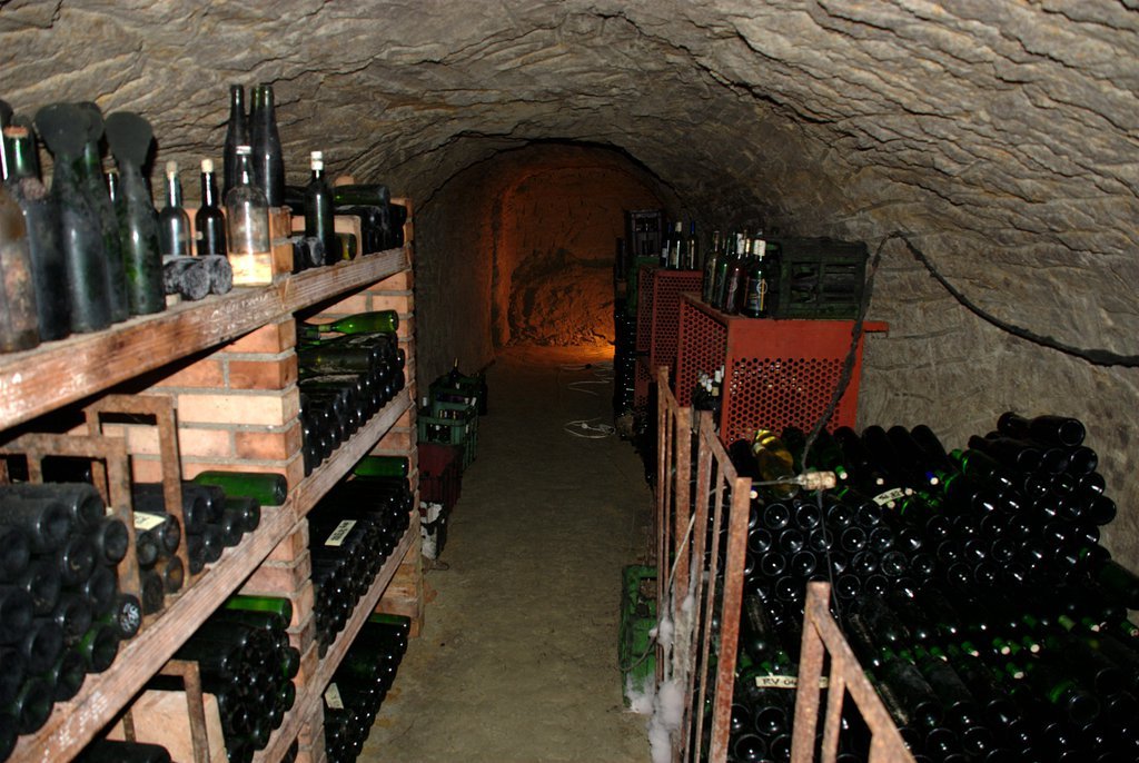 Wine cellar