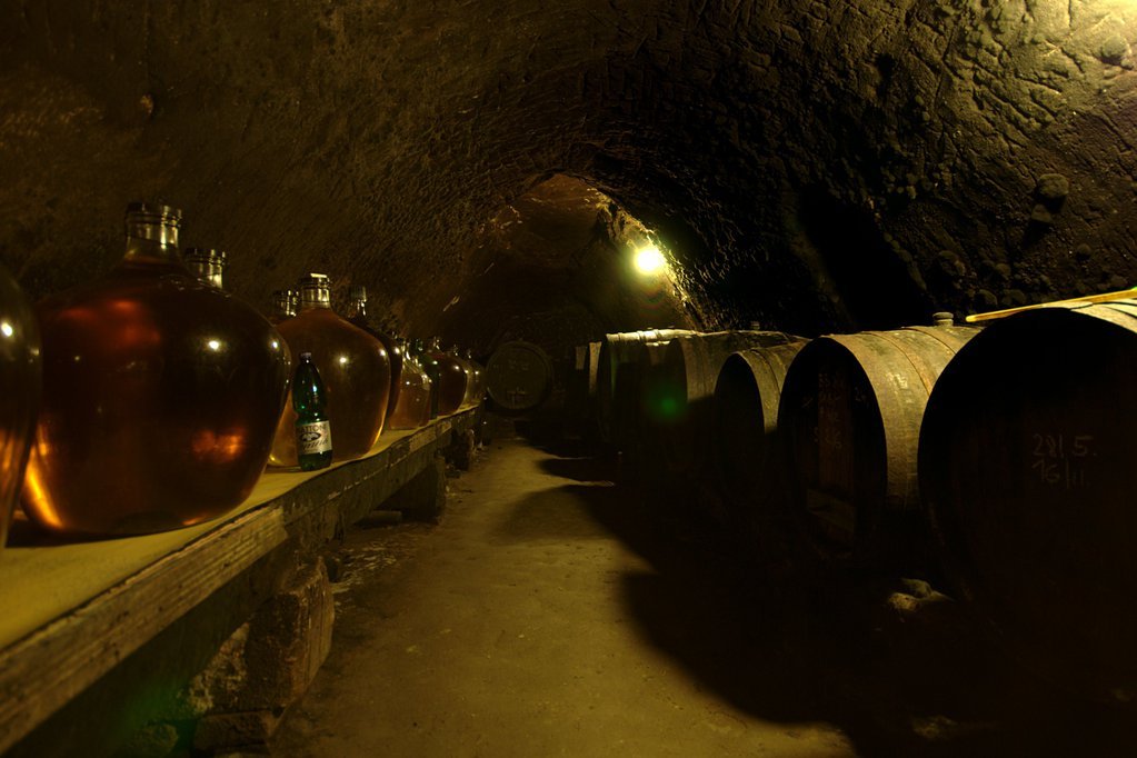 Wine cellar