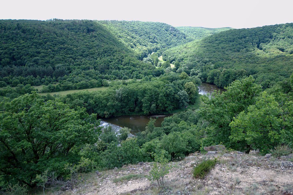 View from the hilltop