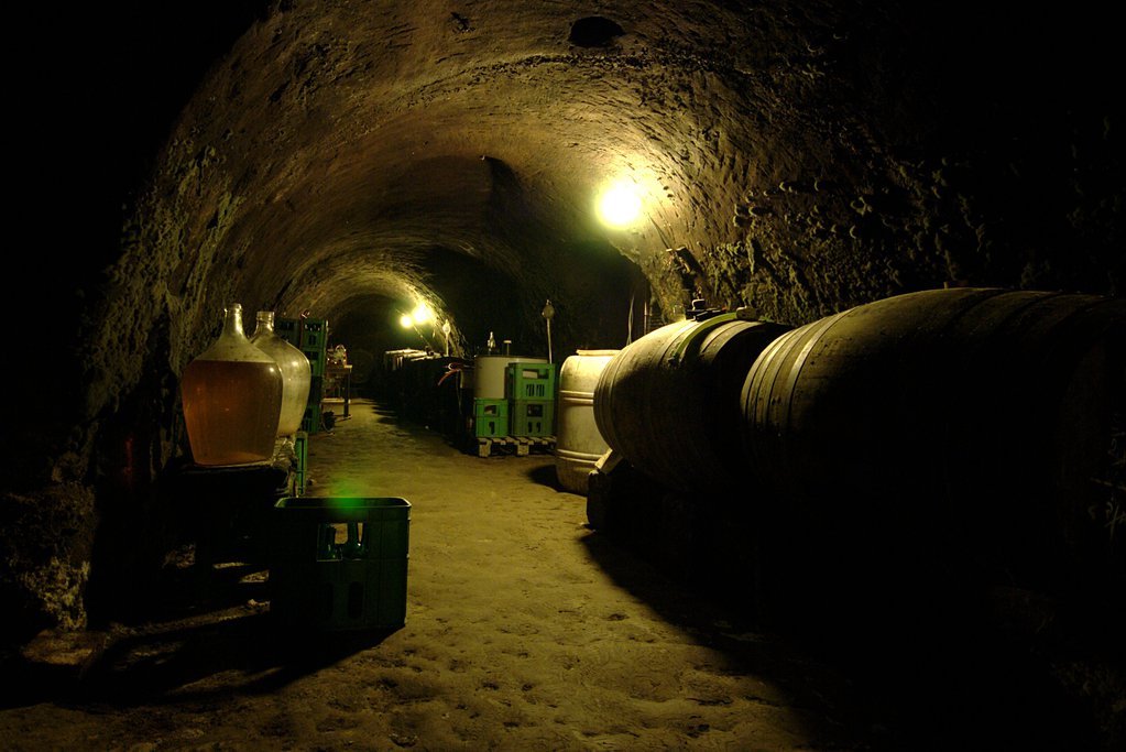 Mr.  Ad&#225;mek's wine cellar