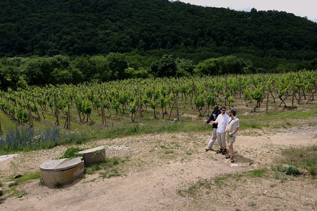 Uche, Petr, and Jirka with vineyard