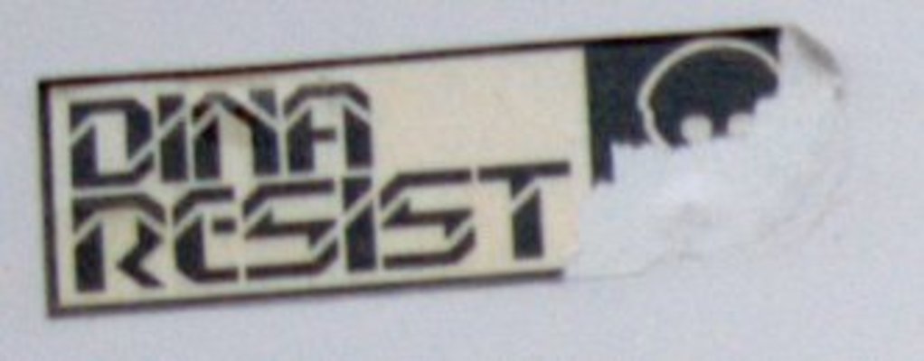 Dina Resist