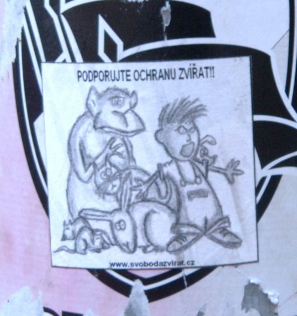 Animal rights