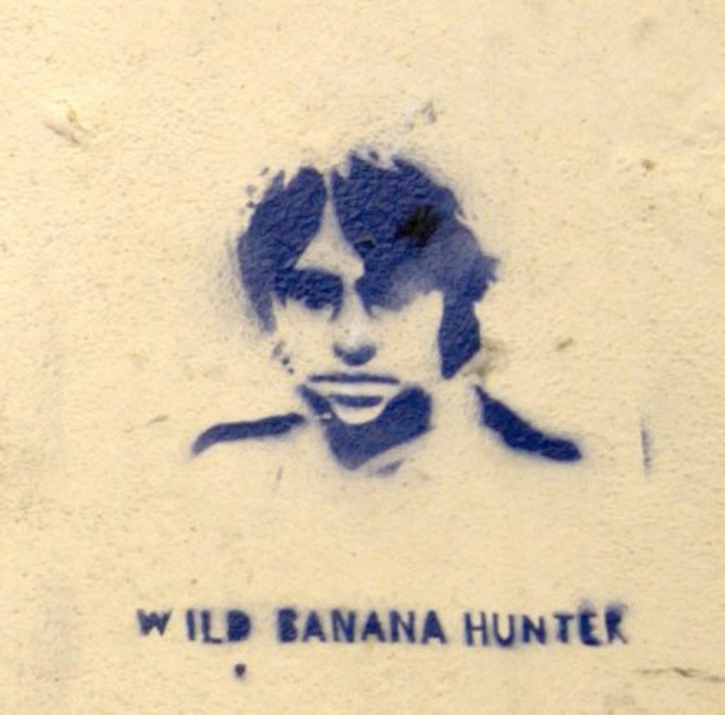 Wild banana hunter