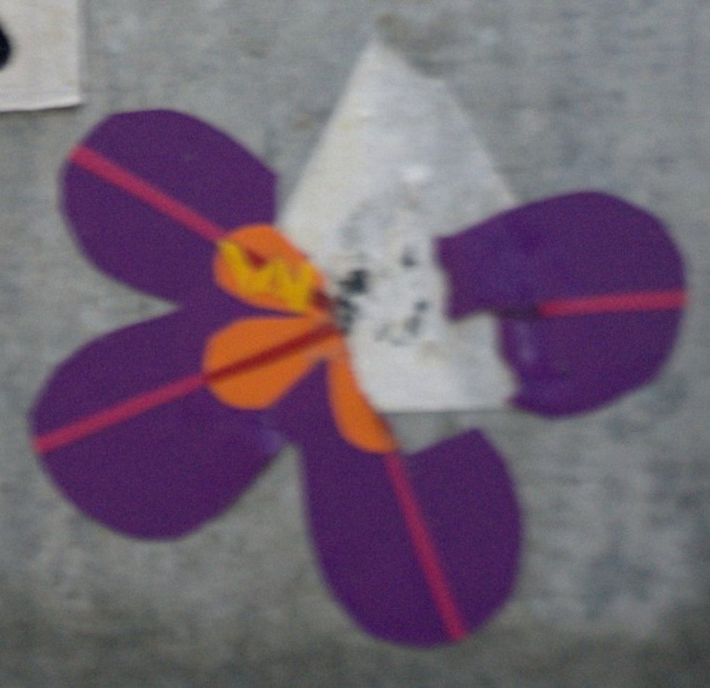 Flower?