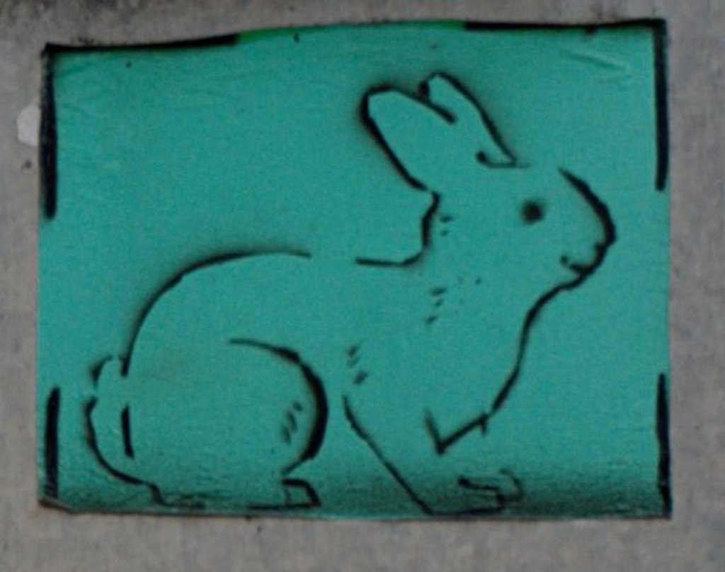 Rabbit