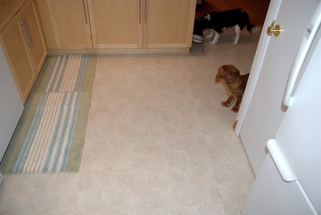 New linoleum