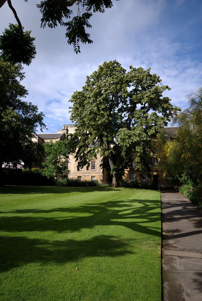 The back quad of Wadham College The back quad of Wadham College