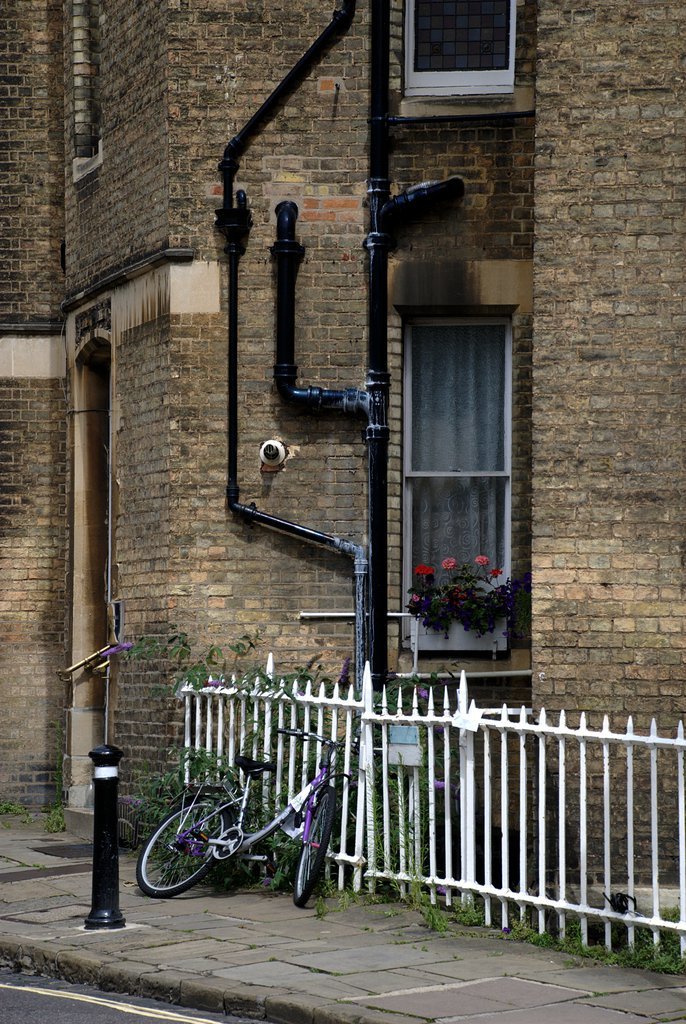 Fence with bicycle