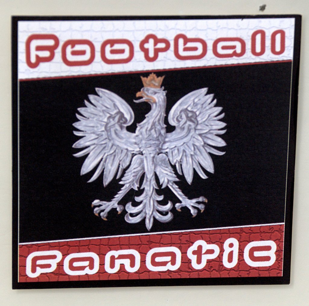 Football Fanatic