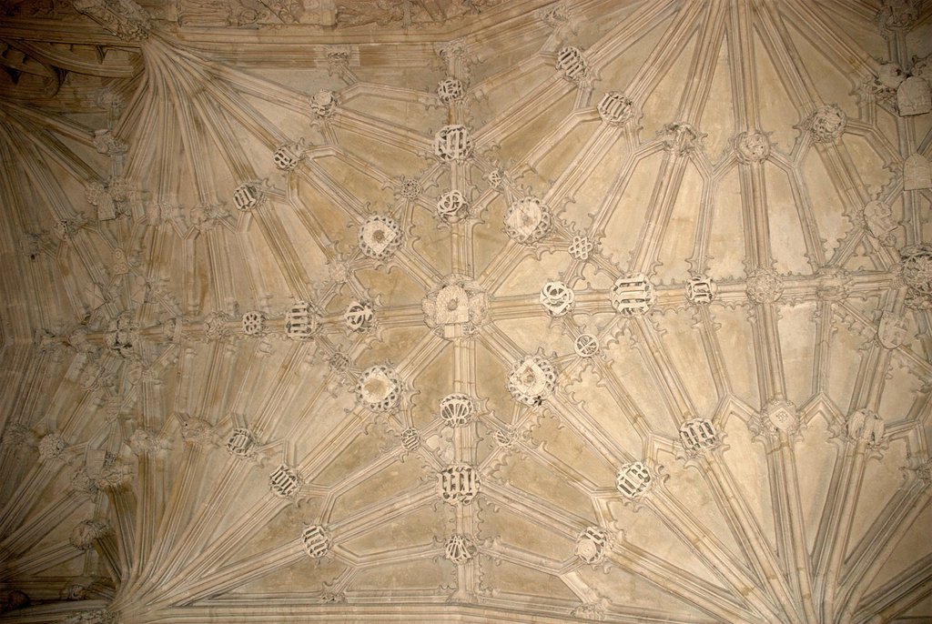 The Divinity School ceiling at The Bodleian
