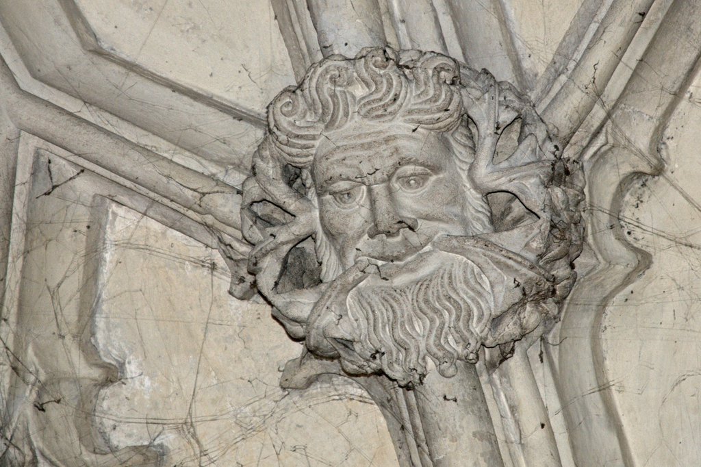 The Green Man on the ceiling of The Divinity School at The Bodleian