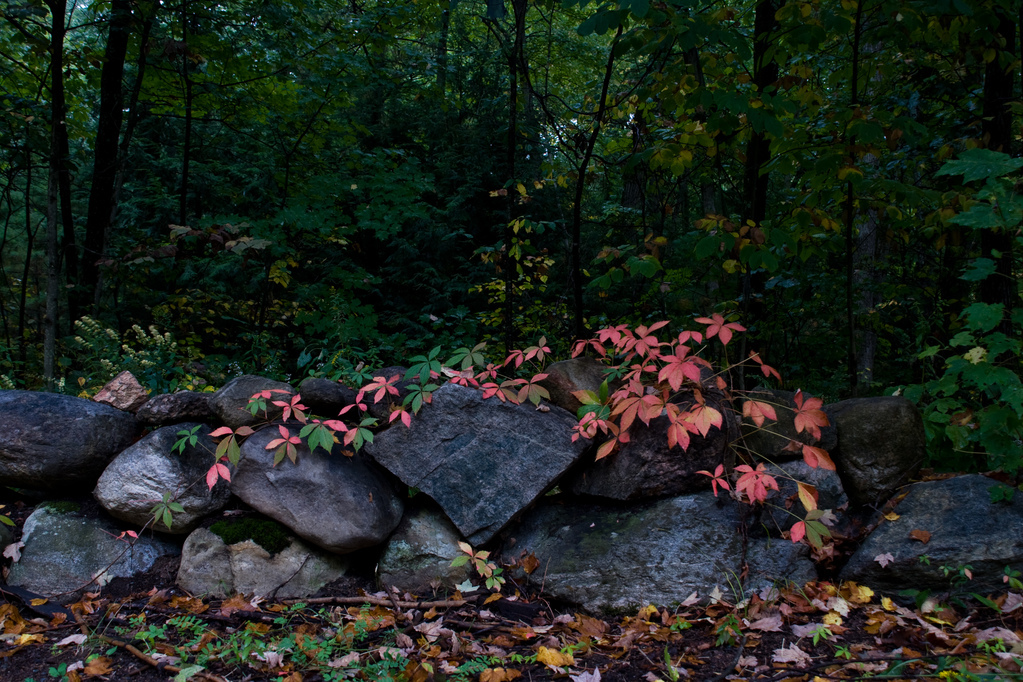 The color of inevitability The color of inevitability