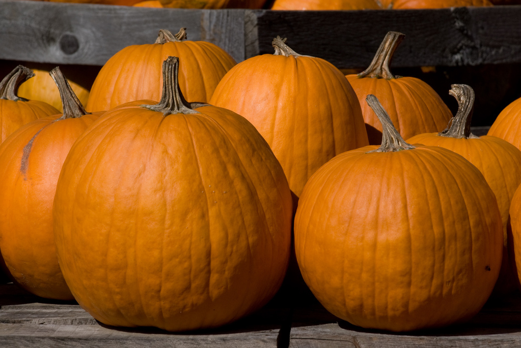 Pumpkins