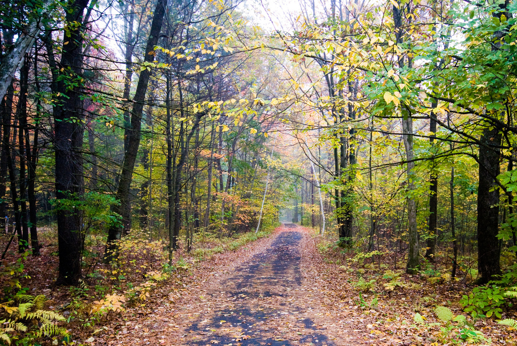 Road to winter Road to winter