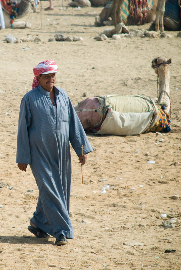 Camel rider