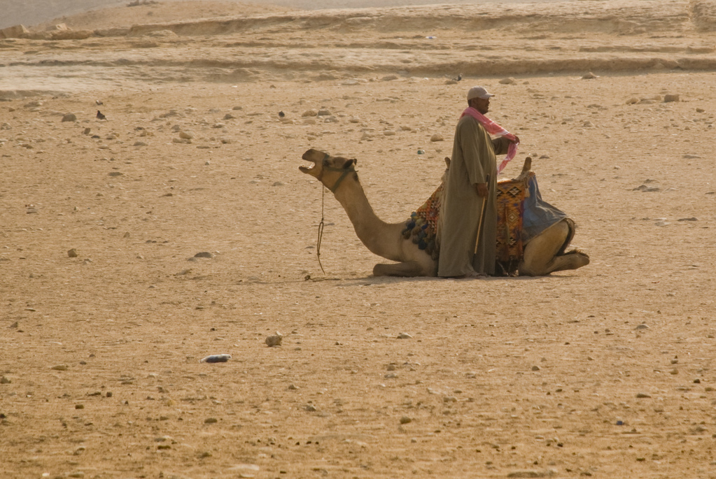 A man and his camel