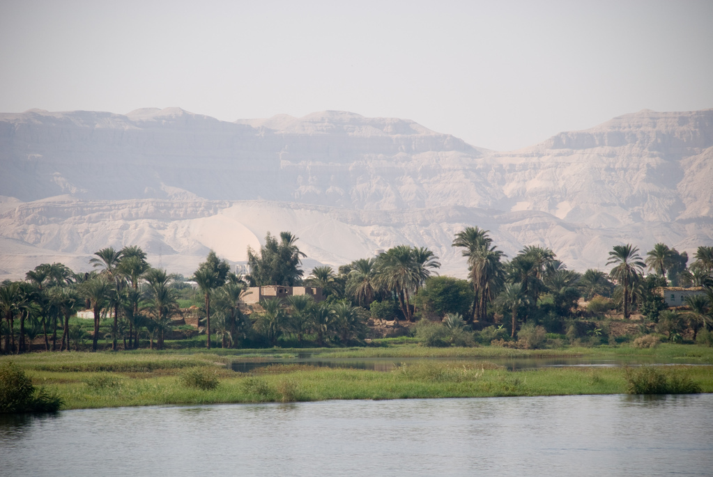 Banks of the Nile