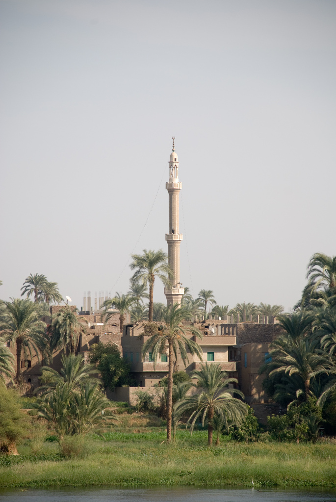 Banks of the Nile
