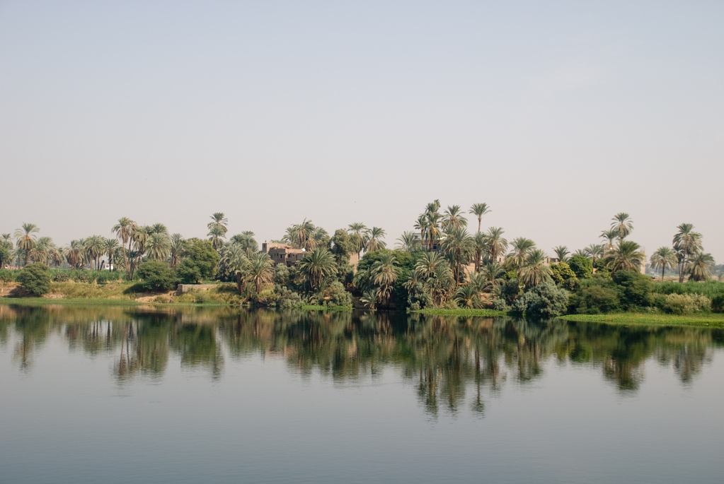 Banks of the Nile