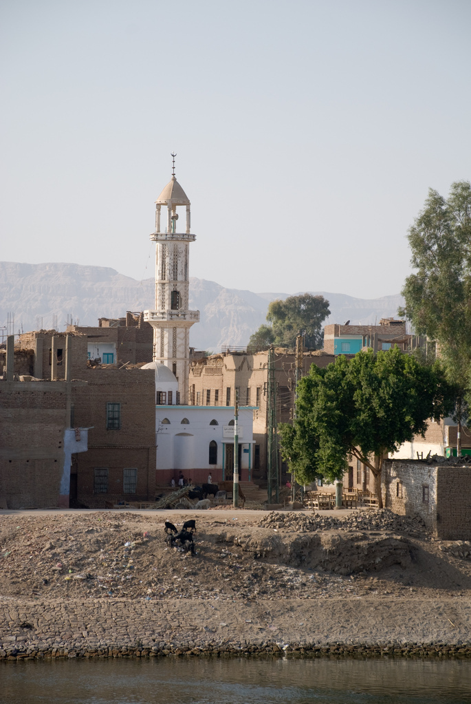 Banks of the Nile