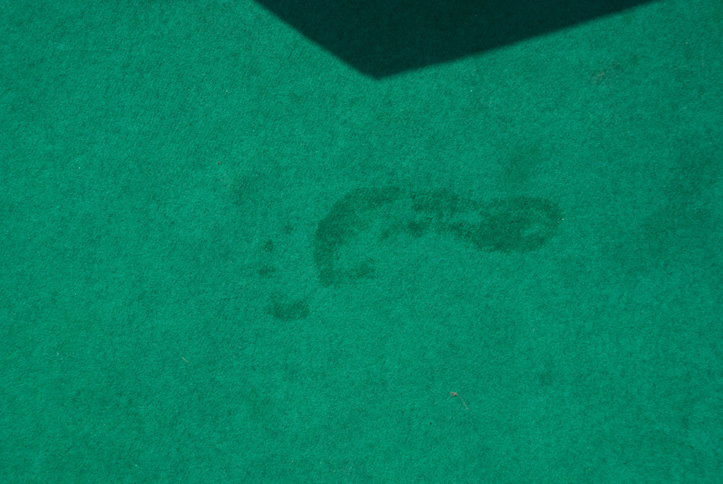 Footprint