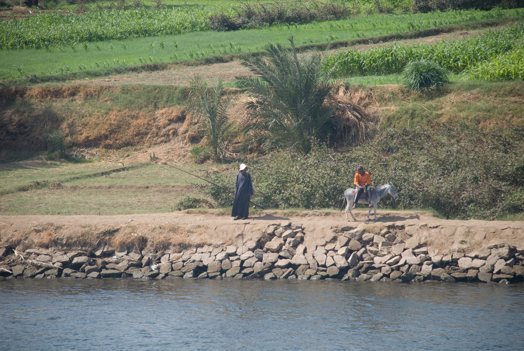 Banks of the Nile