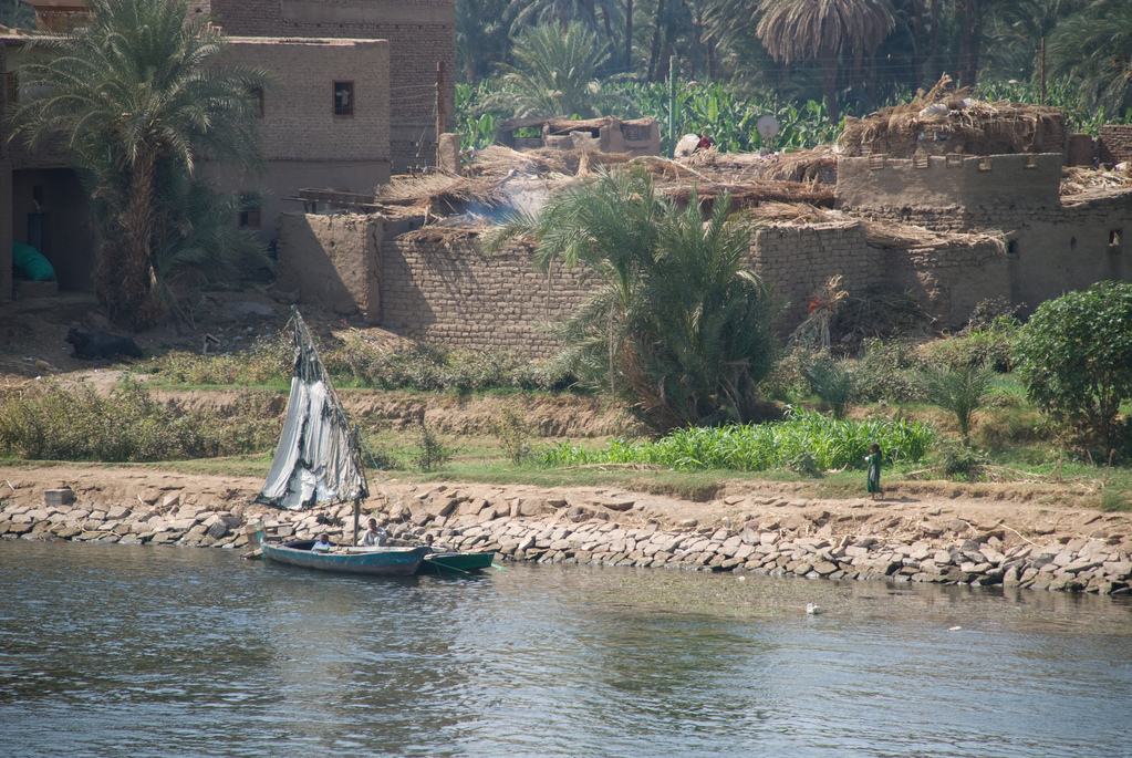 Banks of the Nile