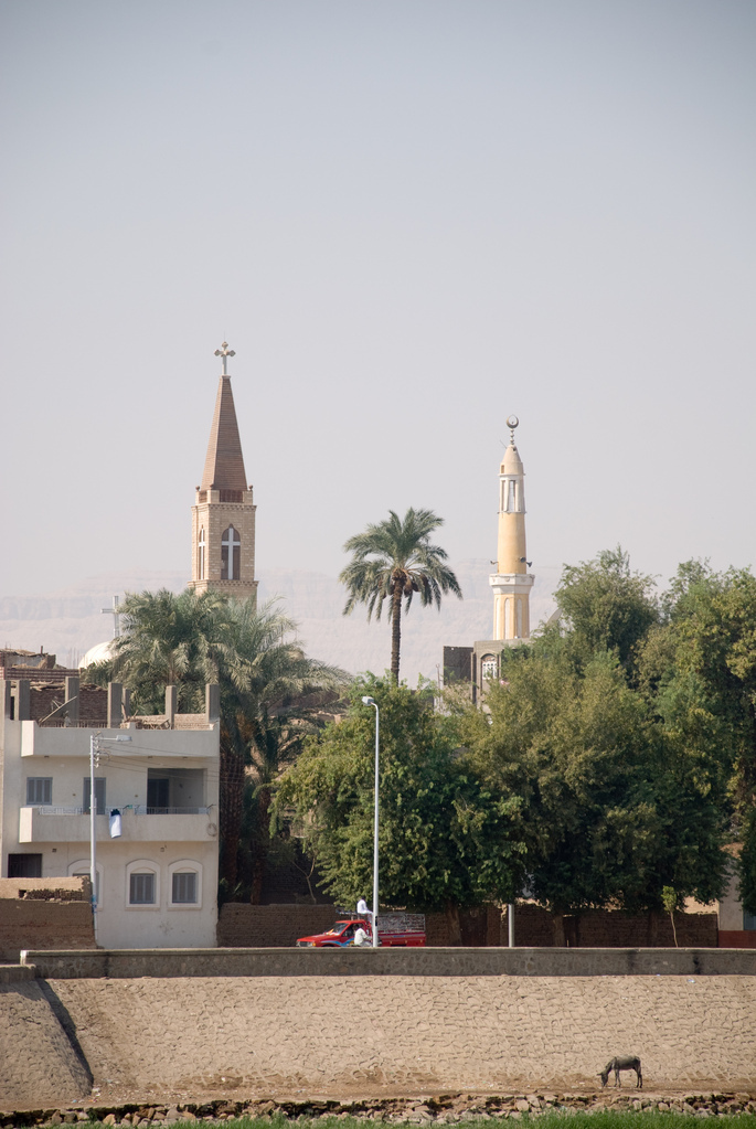 Banks of the Nile