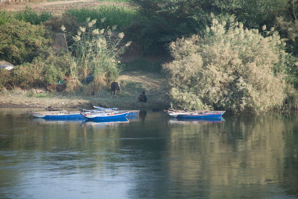 Banks of the Nile