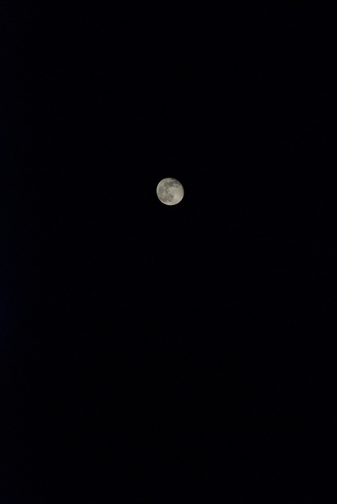 Moon over the Nile