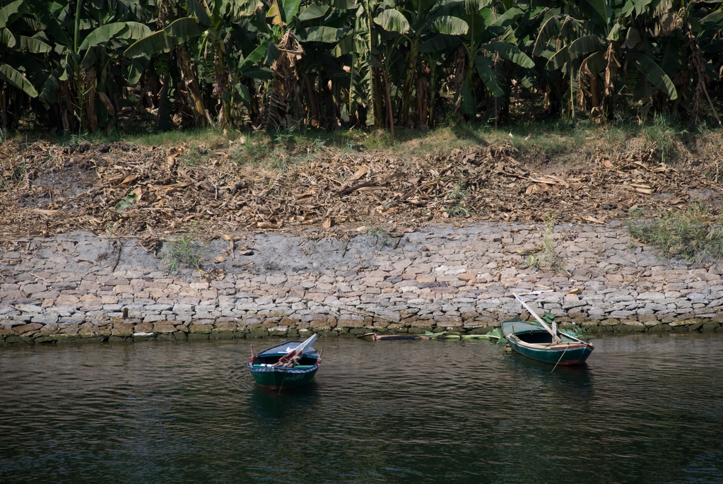 Banks of the Nile