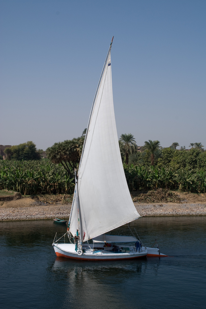 Felucca