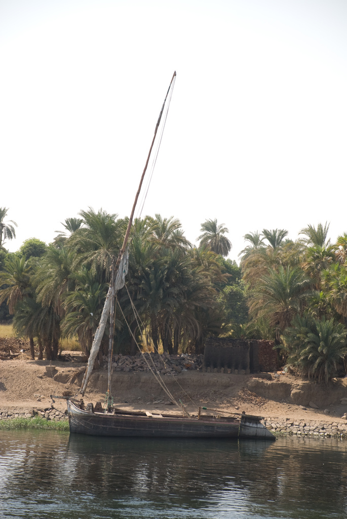 Banks of the Nile