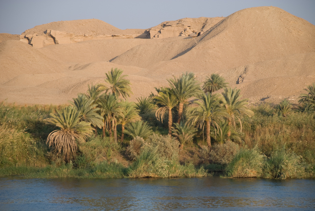 Banks of the Nile