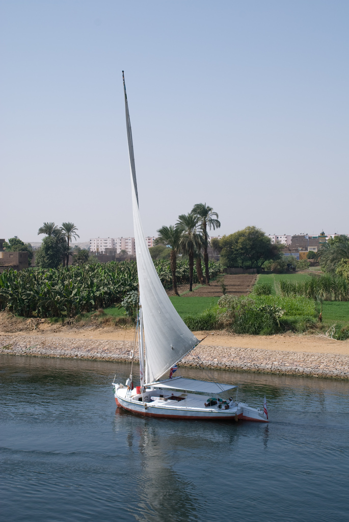 Felucca