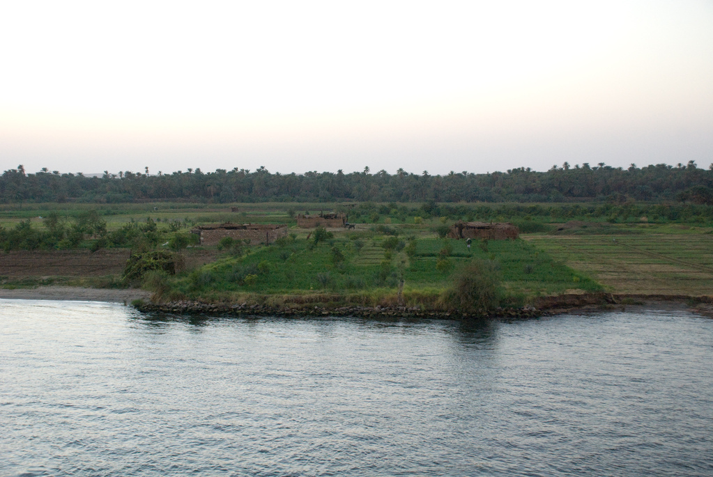 Banks of the Nile