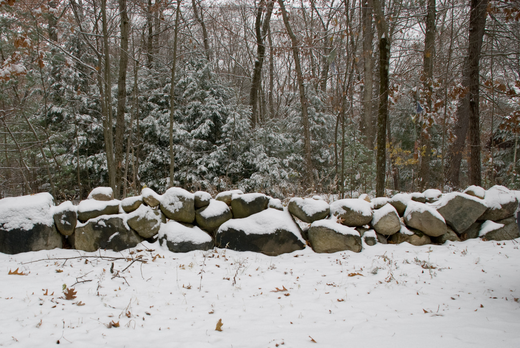 Snowy wall Snowy wall