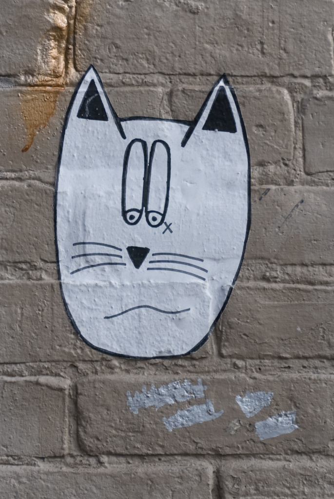 Cat Cat